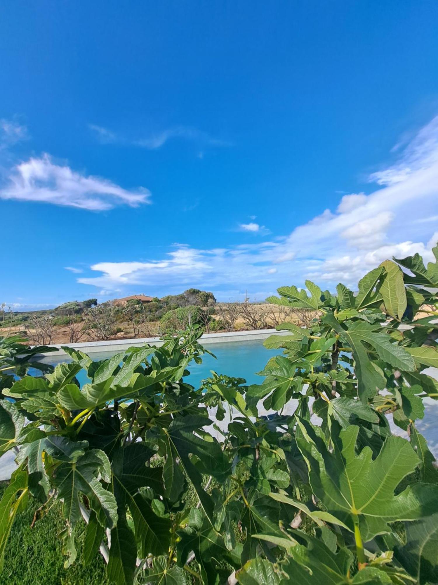 Greuli Agriturismo Lu Nodu מראה חיצוני תמונה